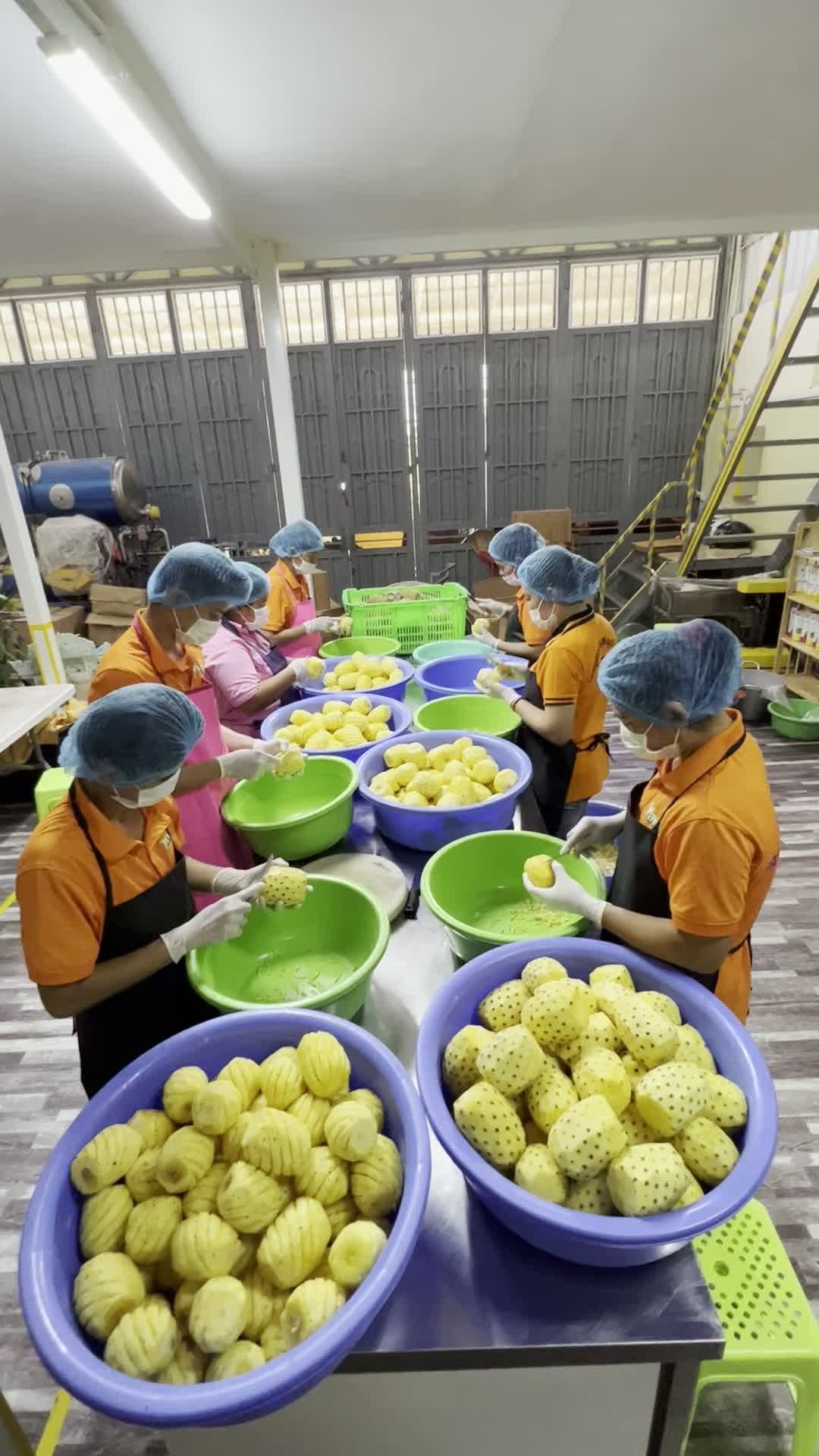 Pineapple Processing